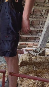 Mike visita o fazendeiro hetero casado e ele fode seu rosto no celeiro até ele gozar em seu rosto - 5ª visita