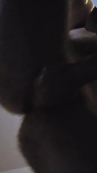 Hey Cumshot