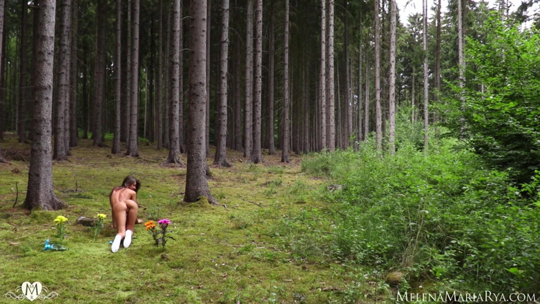 Melena Tara: Memek muncrat sampai orgasme di hutan