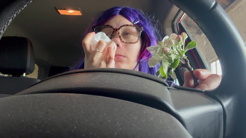 AmayaMori: この花でくしゃみをして、車の中で暴れてしまう