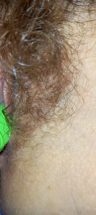 Mature Hairy Pussy