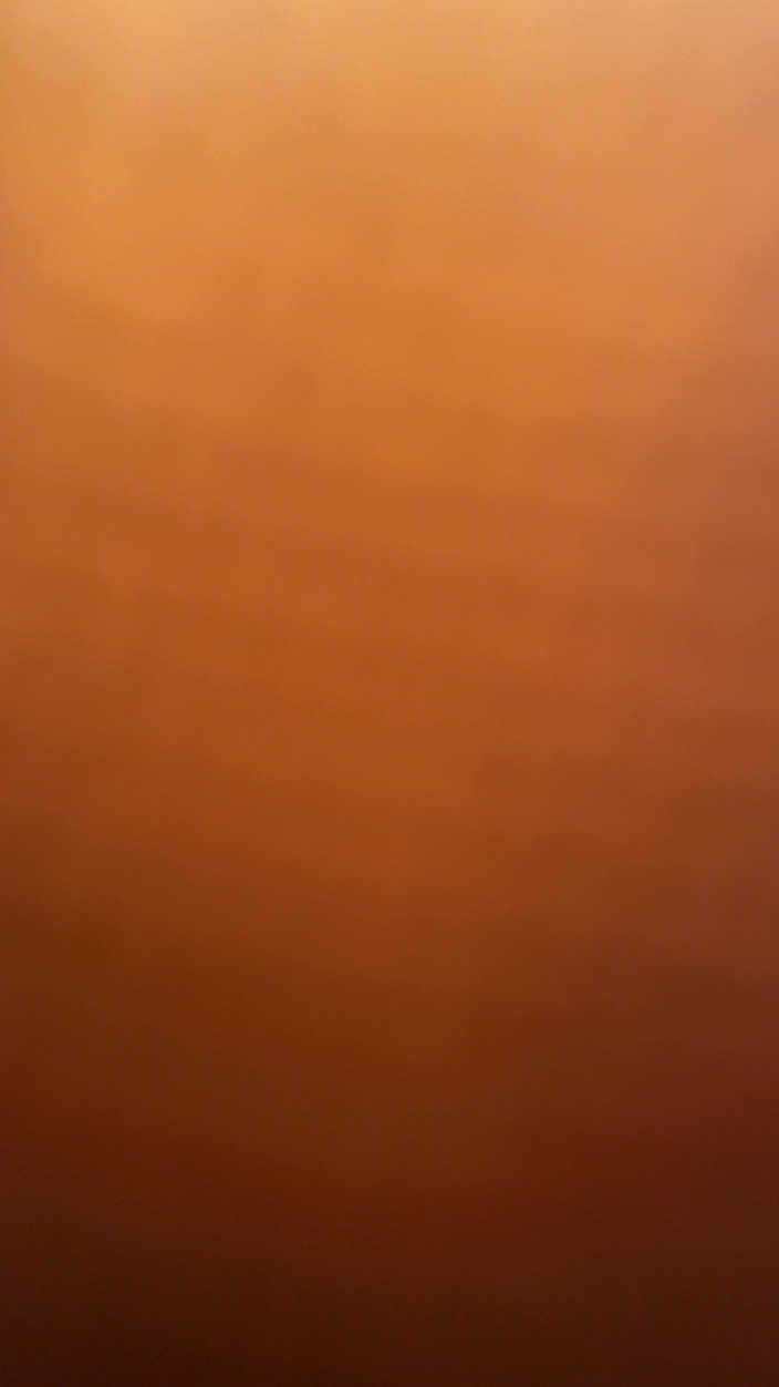 Morflot24: Young Stud's Solo Explosion