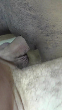 Ebony teen pink panty gets creampied by big cock