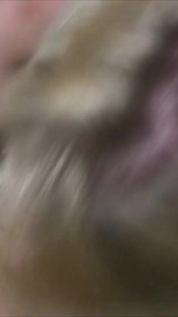 Jenni'nin sert oral seksi