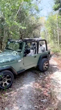 Hot Teenage Girl Gets Fucked in the Woods, Forest Sex, Teenage Sex Outdoors, Car Sex, Slutty Teenage Girl Fuckedp