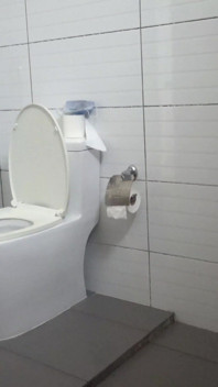 Vòi hoa sen vàng ngẫu nhiên và tự đi tiểu