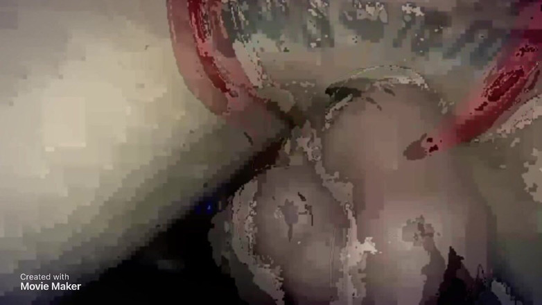 HungBareBackRabbit: Scopata da un dildo da 10" collegato a una macchina del...