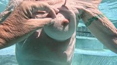 FromThisNight: Over/underwater Pool Shots and a Long, Slow-mo Outdoor Shower