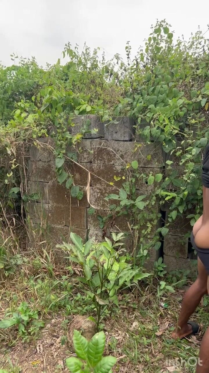 Creamyverseguy2: O vacanță în pustietate