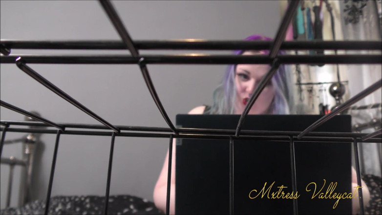 Mxtress Valleycat: Ignoring you while I cam with others