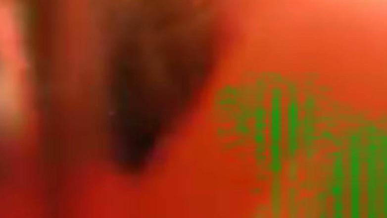 Nicoletta Embassi: Inside Me the Journey of the Orange