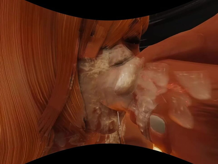Games looper Sex VR Mode: Funy VR 140