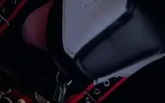 Собачка хоче пограти