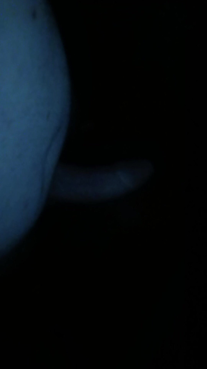 Nackt: Doufám, že se vám to líbí