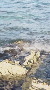 Latina Sborrata Dentro E Facciale in Spiaggia