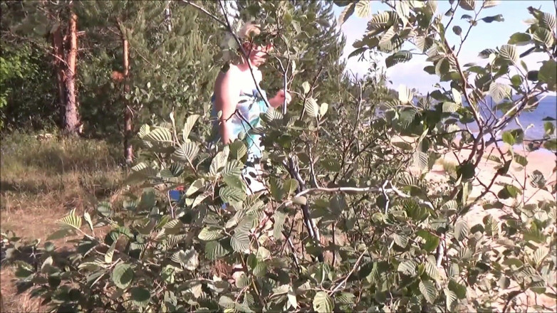 Lady Rose pee pee: Золотой Дождь 61-пописать На Природе