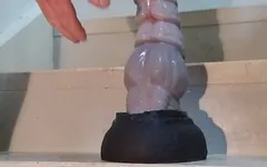 CD in Lingerie Rides 3 Huge Dildos Part 2