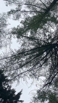 Waldlust - Semua bersendirian dan sangat intim