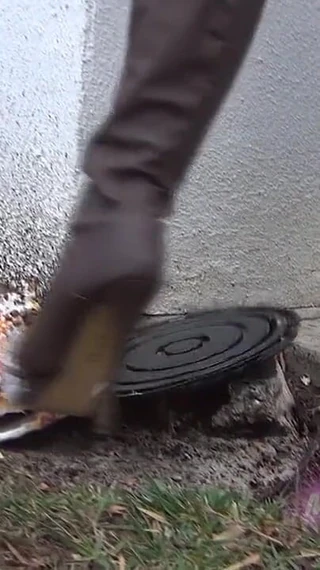 American Mean Girls: Letthe Meat Cake