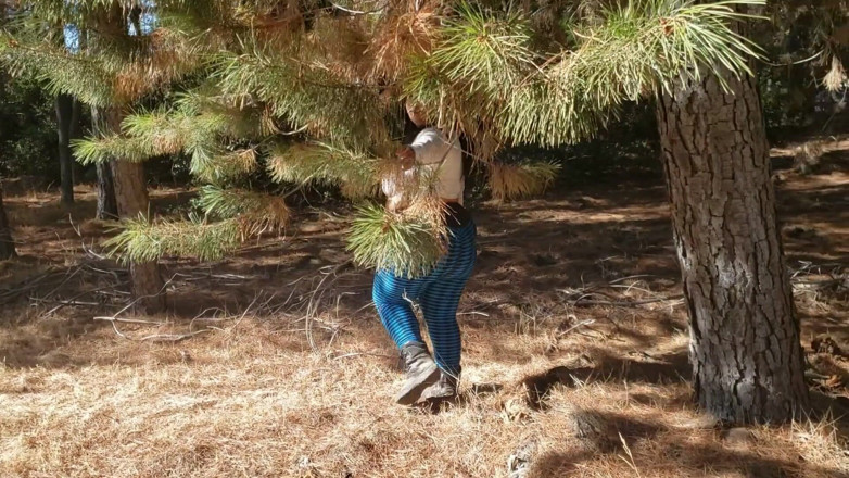 Riderqueen: Stepmom sexy walking forest