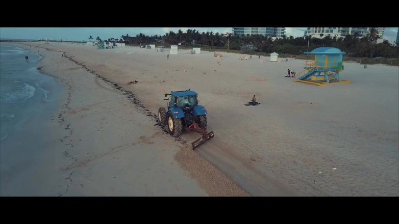 Piper Blush: 사우스 비치 여행