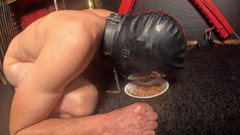 Queen_of_BDSM: 现在我要让我的奴隶从笼子里出来！