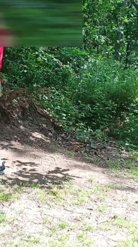 Стару сексуальну повію автостопщиця з вулиці трахали в лісі, а потім без презерватива