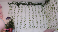 Destination Kat: 오줌 싸기