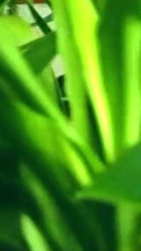Blonde Babe Devoured in Wild Couch Romp