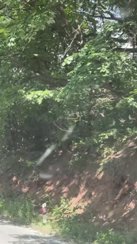 Squirting Fart Smelling Ass Licking Face Fucking Facial in Nature
