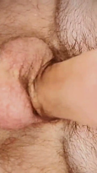 Will You Suck My Hairy Balls?