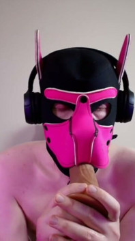 This Could Be Your Cock in Hound's Mouth