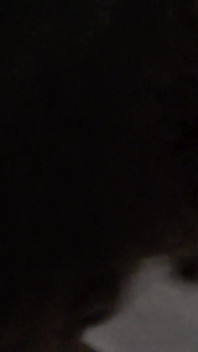 Arab Tunisian Anal Fuck