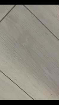Hello I Was Away Here Due to the Holidays Now I Really Want to Fuck You Too?