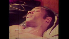 The Unforgettable: Vanessa Vulgair Varken