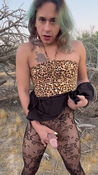 Keseronokan padang pasir