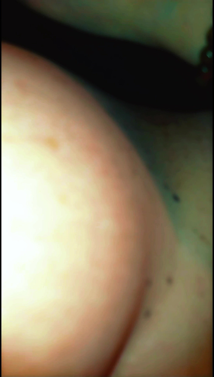 Lily & Theo: Rubbing my cock on the cuckold's slutty wife who asks...