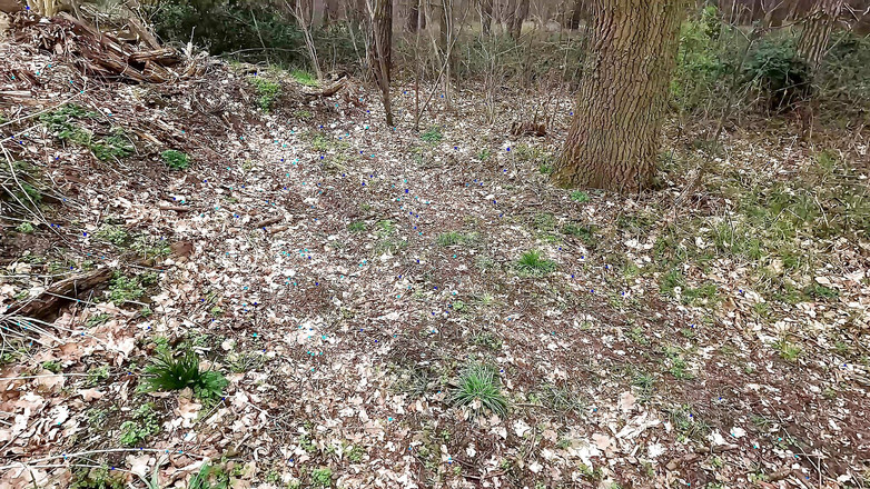 Bouncy Tits Action: Cewek topless lagi nungguin toketnya ditampar