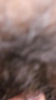 Indische ehefrau feuchte muschi ficken