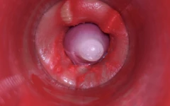 Camera Inside Pussy: Powerfull Cum in Pussy! Best Internal Asmr in 4K More Sperm