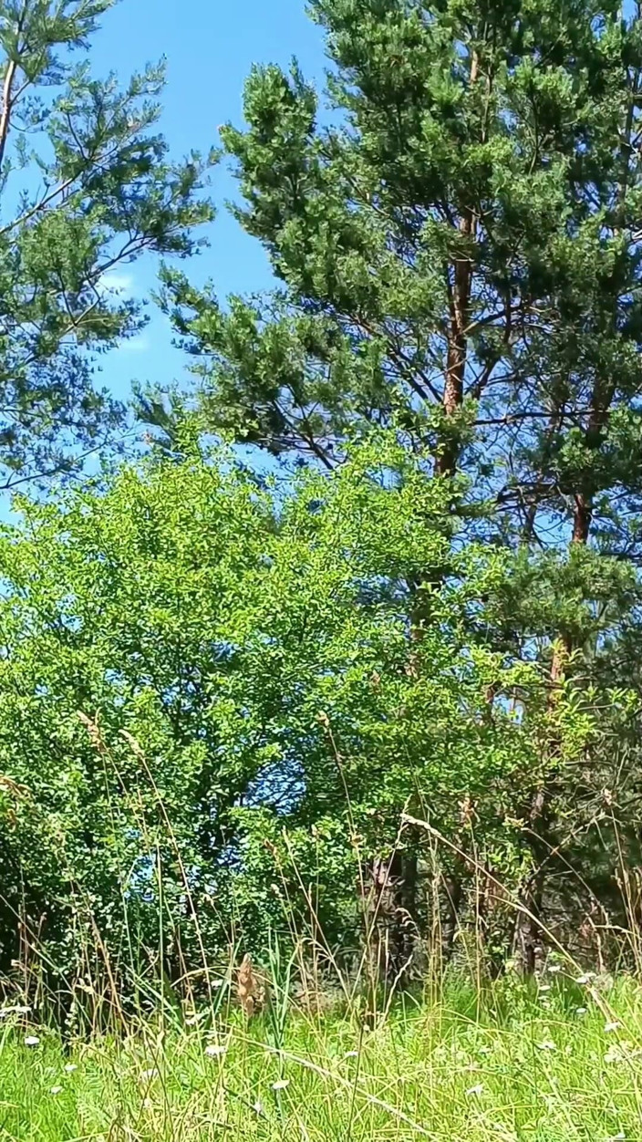Ole63: Heißer Sommertag. Es ist gut, nackt zu sein und deinen...