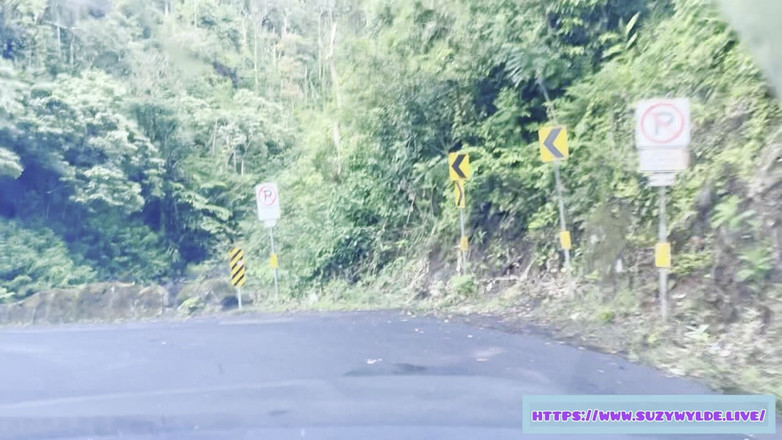 Suzy Wylde: Sfw Road Trip do Hana dla Suzy Wylde w Waimoku...