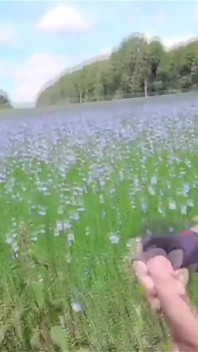I Was Running Outside, and I Was Thinking It's Time to Cum