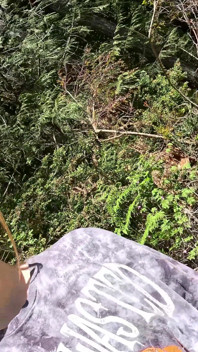 Více yardwork čůrací kompilace