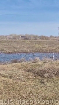Šukej mě na straně silnice, strčí velkého ptáka s výstřikem do zadku