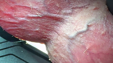 Leonardo-1974: 金玉がお仕置きされる