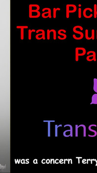 Bar Hookup's Trans Cock Shock - Part 2
