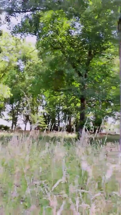 Slutboyben: रंडीबॉयबेन कैम4 मेगा सेक्सी सार्वजनिक दिखावटी पिग