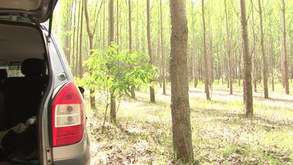 Cum Outdoor: Outdoor sex in car