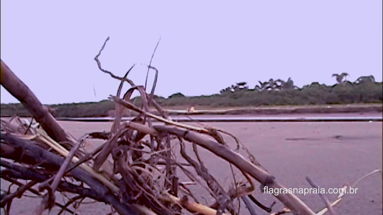 Amateurs videos: Couple has sex on the beach and takes time to...